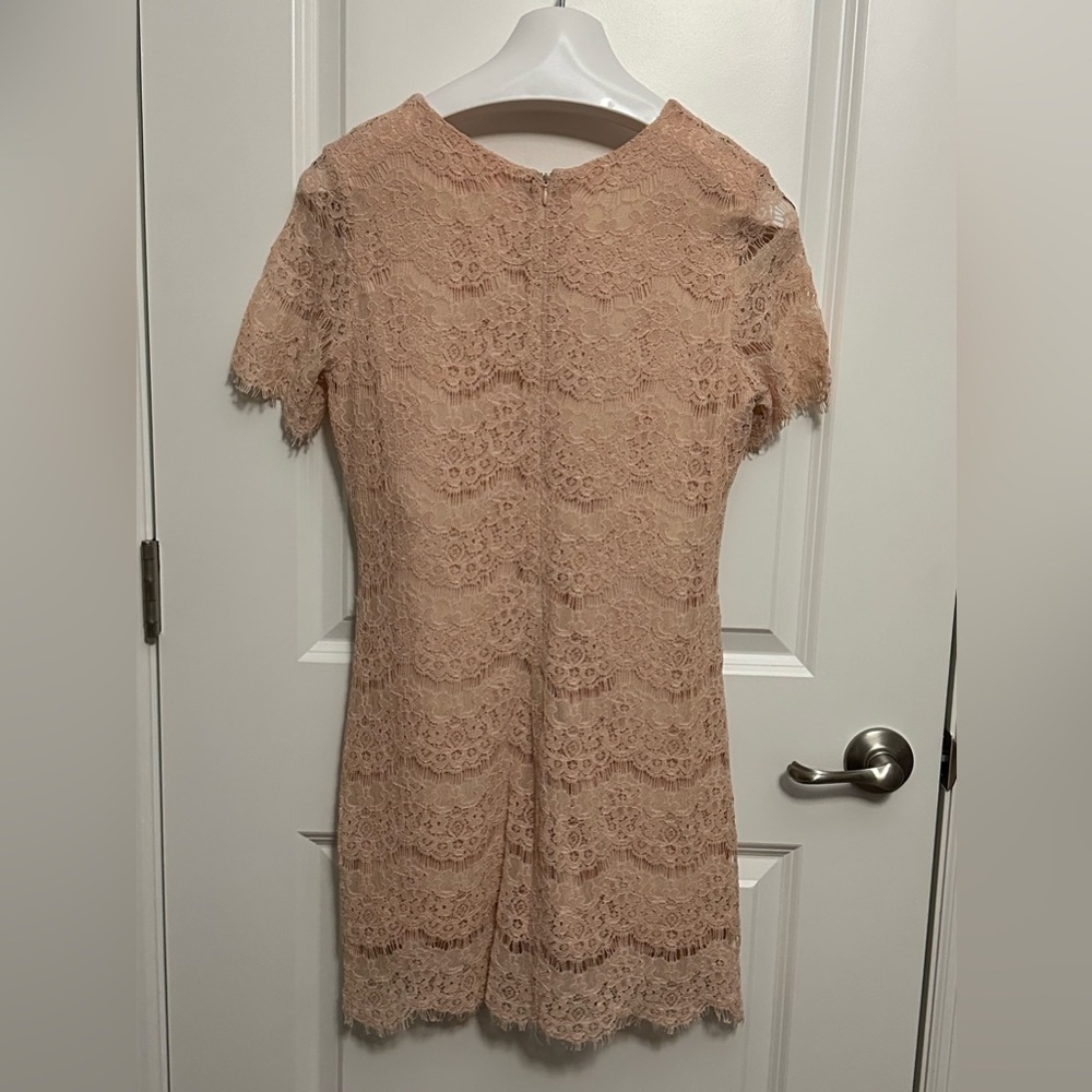 NWT Pink Lily Boutique Lace Sheath Dress, Size Medium - Picture 5 of 6
